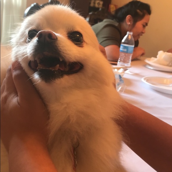 Meet your Posher, Cassandra - Picture 1 of 1